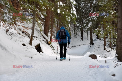 Polskie Tatry Albin Marciniak