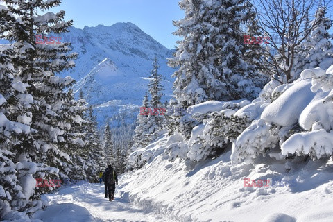 Polskie Tatry Albin Marciniak