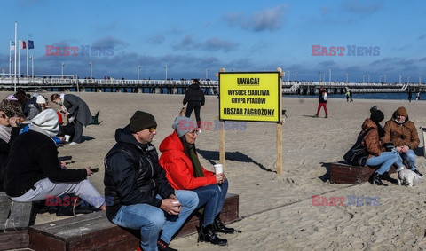 Sopot w strefie zagrożenia wystąpieniem grypy ptaków