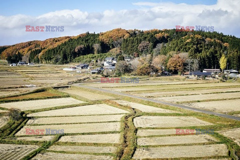 Pociąg Shiki-Shima - superluksusowa podróż po Japonii - Le Figaro
