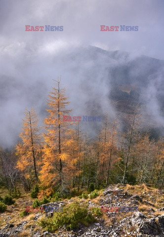 Polskie Tatry Albin Marciniak