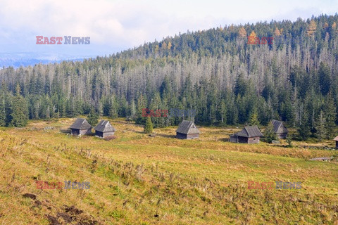 Polskie Tatry Albin Marciniak