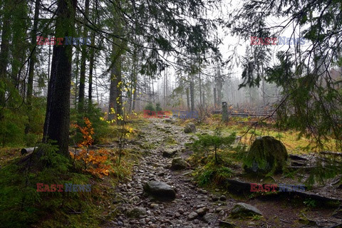 Polskie Tatry Albin Marciniak