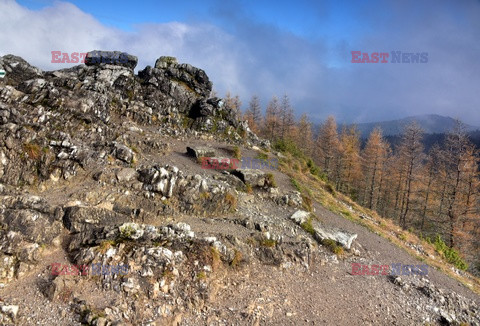 Polskie Tatry Albin Marciniak