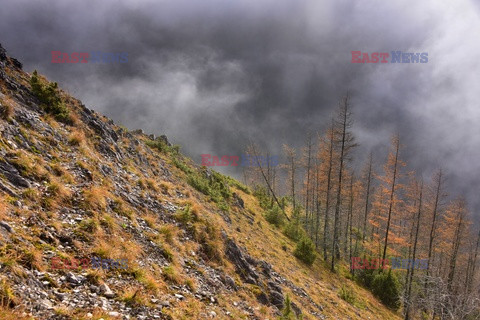 Polskie Tatry Albin Marciniak