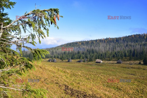 Polskie Tatry Albin Marciniak