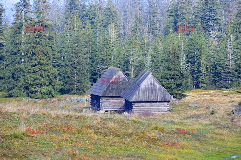 Polskie Tatry Albin Marciniak