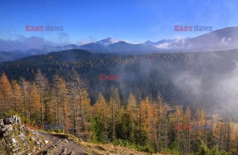 Polskie Tatry Albin Marciniak