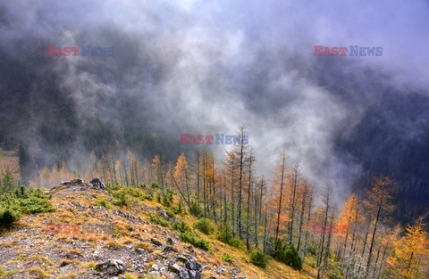 Polskie Tatry Albin Marciniak