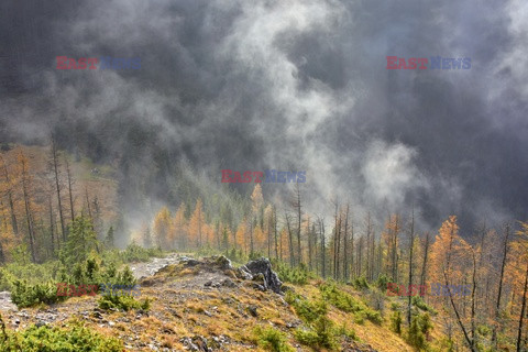 Polskie Tatry Albin Marciniak