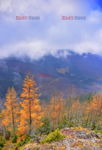 Polskie Tatry Albin Marciniak