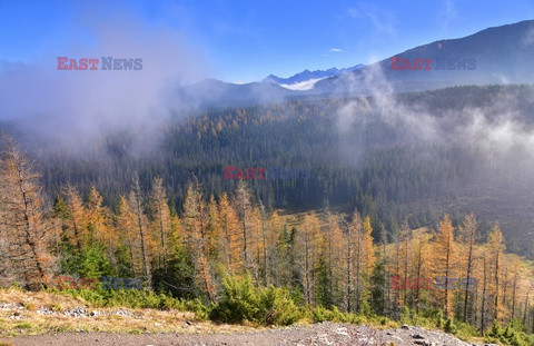 Polskie Tatry Albin Marciniak