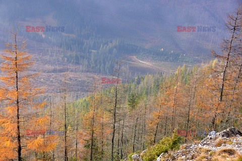 Polskie Tatry Albin Marciniak