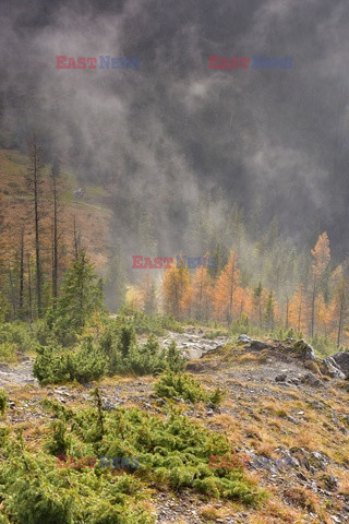 Polskie Tatry Albin Marciniak