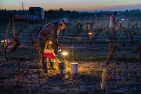 Ochrona sadów przed przymrozkami