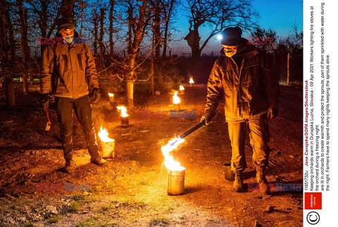 Ochrona sadów przed przymrozkami