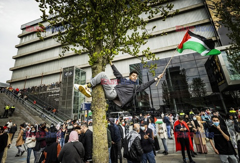 Manifestacje poparcia dla Palestyny