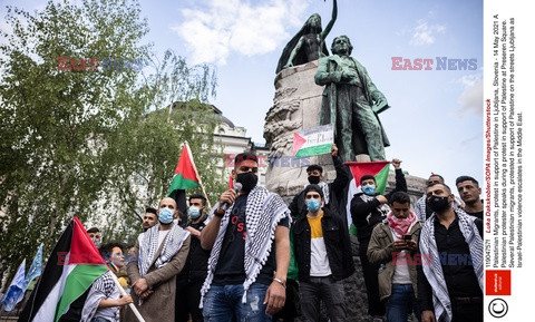 Manifestacje poparcia dla Palestyny