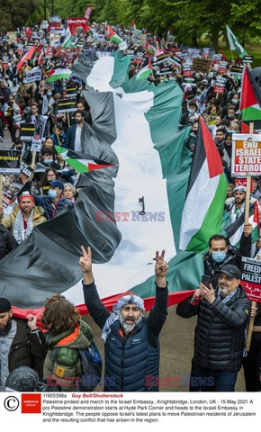 Manifestacje poparcia dla Palestyny