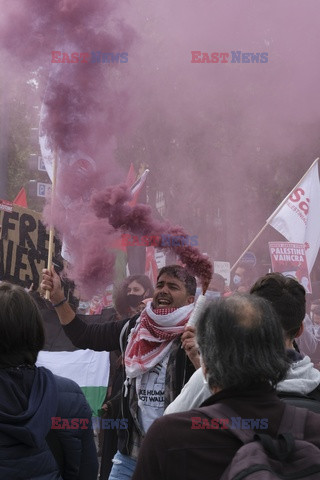 Manifestacje poparcia dla Palestyny