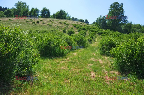 Dolnośląskie MaBa