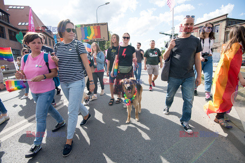 VI Trójmiejski Marsz Równości