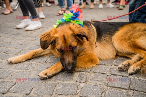 VI Trójmiejski Marsz Równości