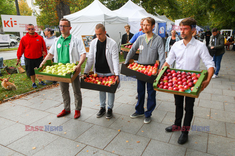 Białe Miasteczko 2.0 w Warszawie