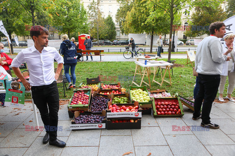 Białe Miasteczko 2.0 w Warszawie