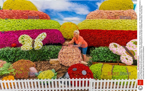 Przygotowania do Chelsea Flower Show 2021