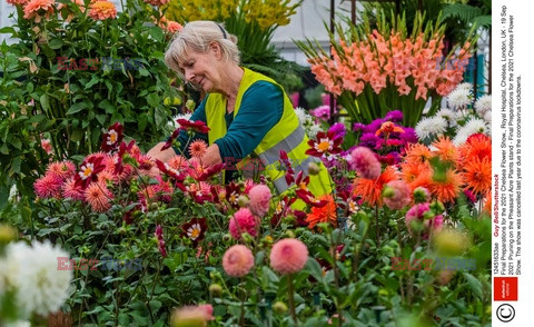 Przygotowania do Chelsea Flower Show 2021