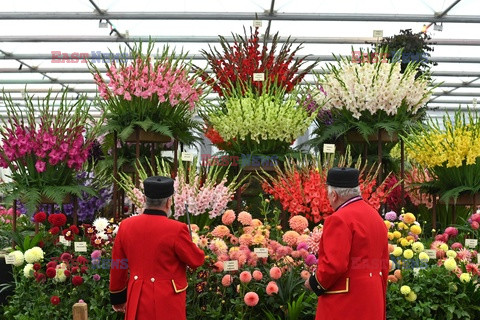 Przygotowania do Chelsea Flower Show 2021