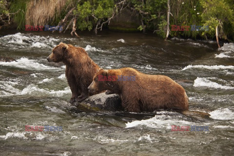 Design Pics/Alaska Stock Images