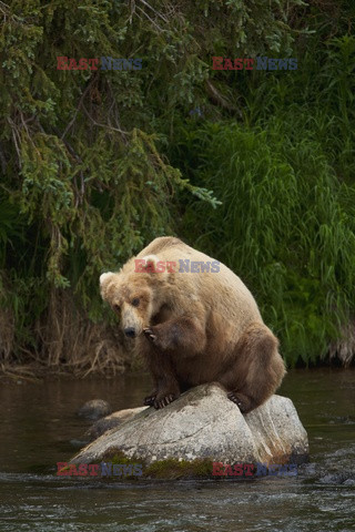 Design Pics/Alaska Stock Images