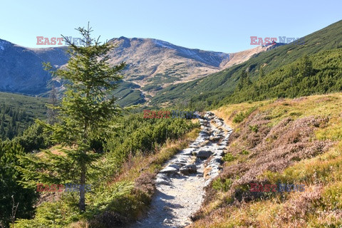 Polskie Tatry Albin Marciniak