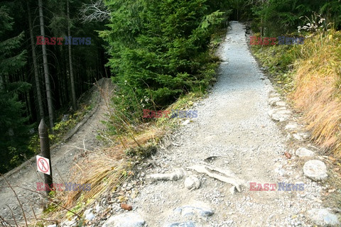 Polskie Tatry Albin Marciniak