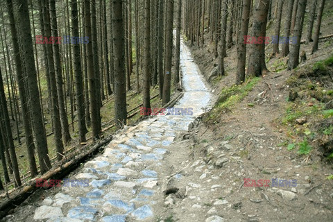 Polskie Tatry Albin Marciniak