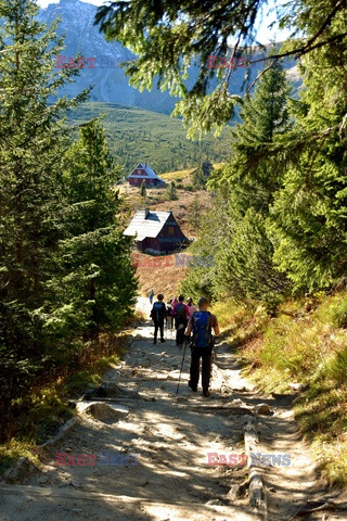 Polskie Tatry Albin Marciniak