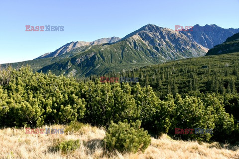 Polskie Tatry Albin Marciniak