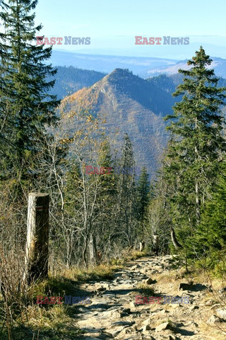 Polskie Tatry Albin Marciniak