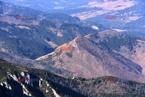 Polskie Tatry Albin Marciniak