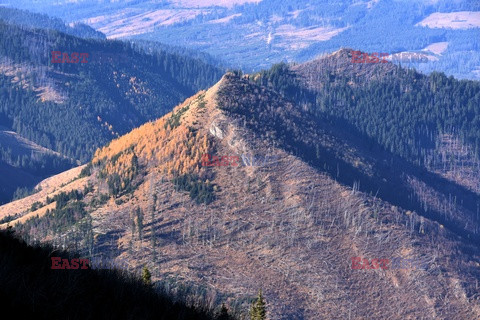 Polskie Tatry Albin Marciniak