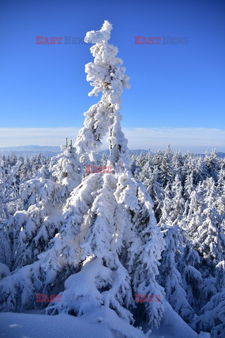 Beskidy Albin Marciniak