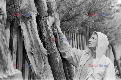 Magdalena Abakanowicz i jej rzeźby