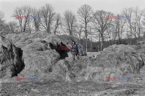 Magdalena Abakanowicz i jej rzeźby