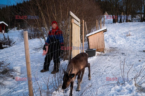 Turbiny wiatrowe w Laponii - AFP