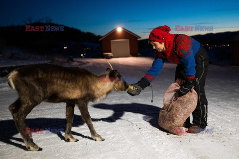 Turbiny wiatrowe w Laponii - AFP