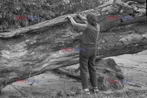 Magdalena Abakanowicz i jej rzeźby