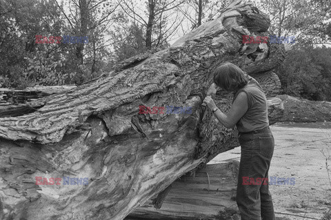 Magdalena Abakanowicz i jej rzeźby