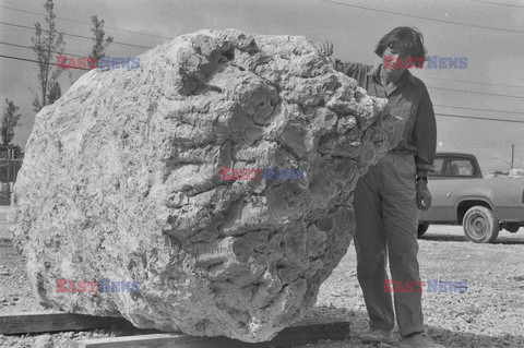 Magdalena Abakanowicz i jej rzeźby